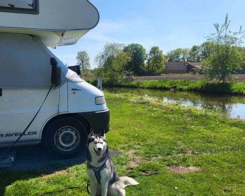 soesteheim-2026-01-3